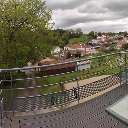 Le Panoramic Apartment Bains-les-Bains Exterior photo
