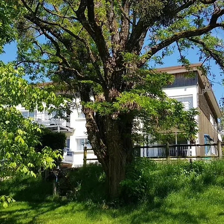 Le Panoramic Apartment Bains-les-Bains Exterior photo